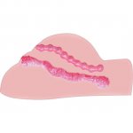 CIELISTY MASTURBATOR FUCKER REALISTYCZNY Z WIBRATOREM