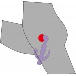 YOU2TOYS - STYMULUJĄCY WIBRATOR Z 3 KOŃCÓWKAMI FIOLETOWY