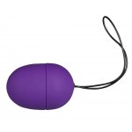 YOU2TOYS - WIBRUJĄCE JAJECZKO Z BEZPRZEWODOWYM PILOTEM