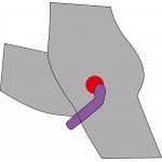 YOU2TOYS - WIBRATOR Z ZAKRZYWIONĄ KOŃCÓWKĄ DO PUNKTU G LUB P